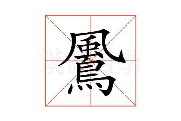 𩘵