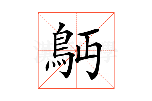 𩾳