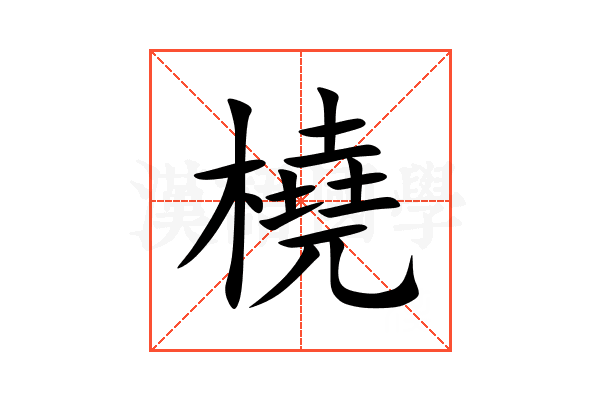 橈