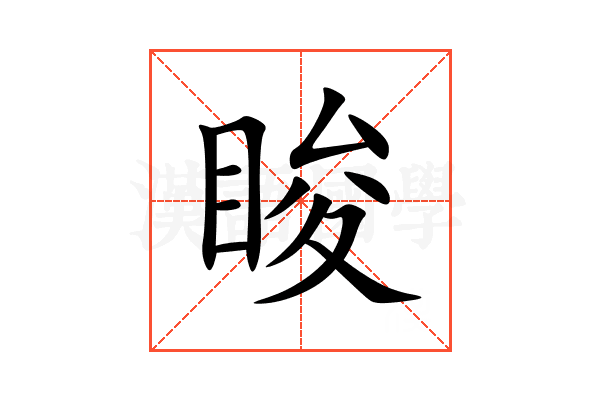 睃