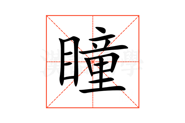 瞳