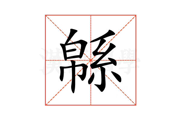 緜