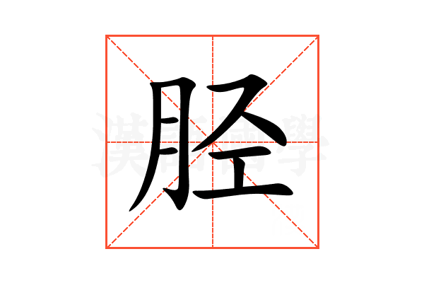 胫