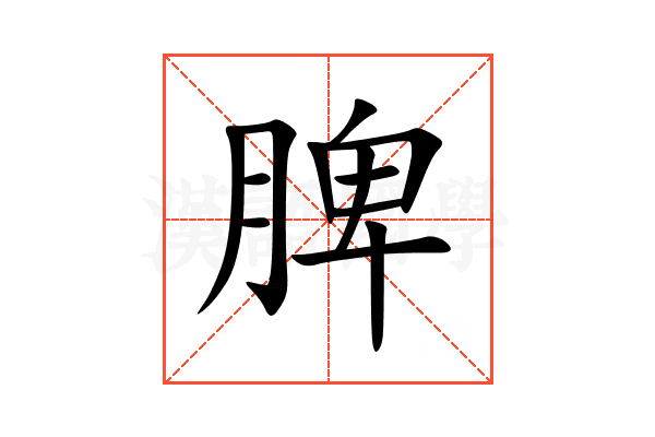 脾