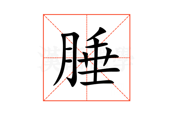 腄