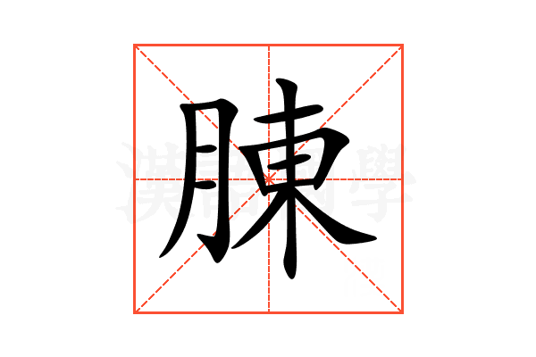 腖
