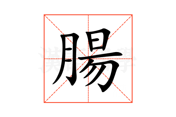腸