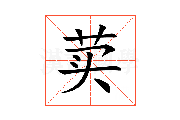 荬