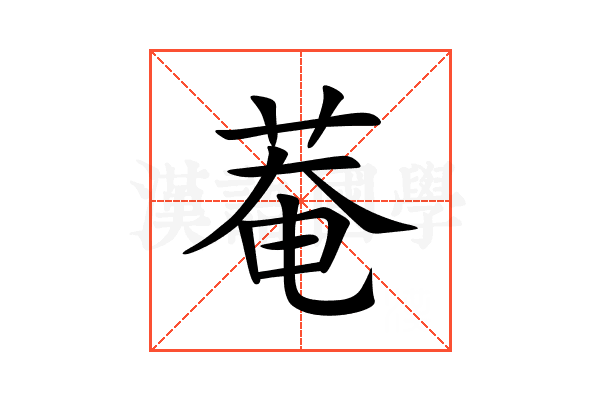 菴
