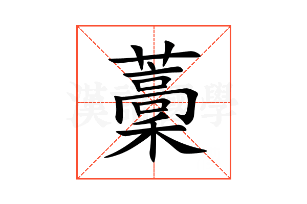 藳
