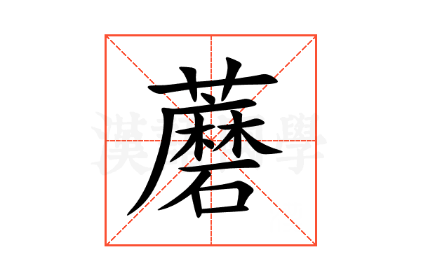 蘑