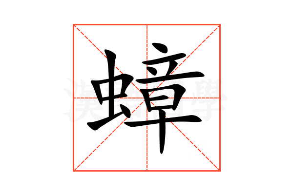 蟑