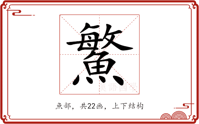 鰵