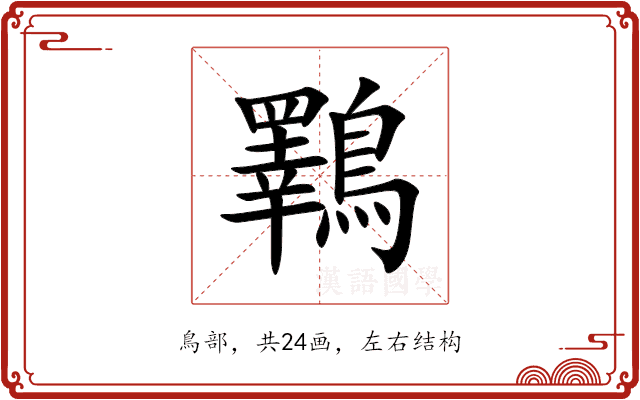 鸅