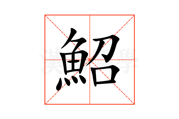 鮉