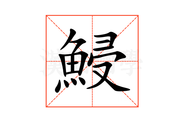 鮼