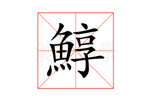 鯙