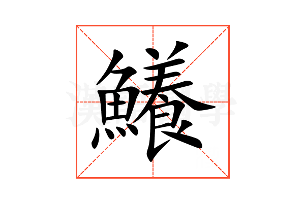 鱶