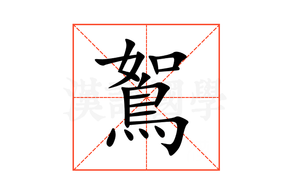 鴽