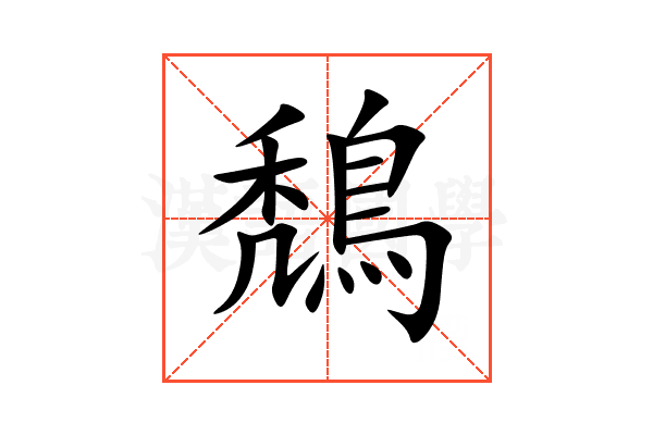 鵚
