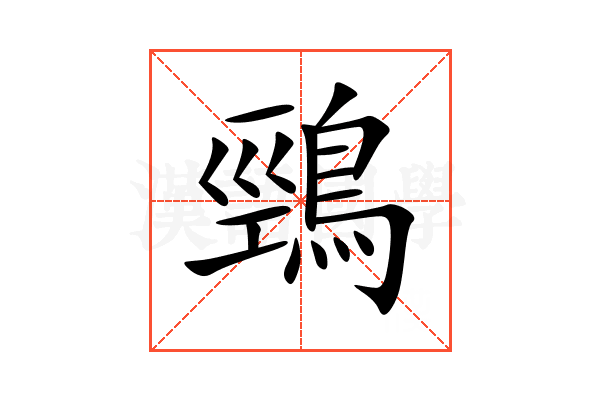 鵛