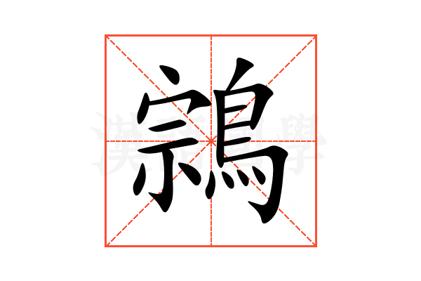 鶎