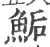 鲘(印刷字体·宋·广韵)